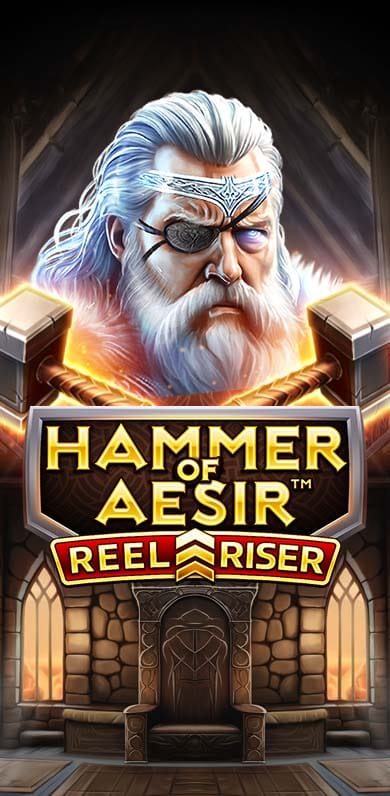 Hammer Of Aesir in Gamesfirstwithparty