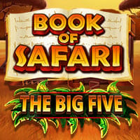 Book of Safari The Big Five in morepartyoriginals