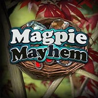Magpie Mayhem in pp_AllExclusives