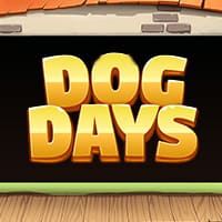 Dog Days in Best Of The Rest