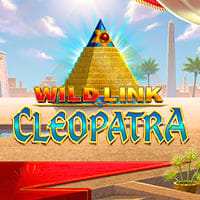 Wild Link Cleopatra in Best Of The Rest