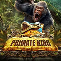 Primate King in Jackpotguaranteed