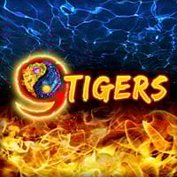 9 Tigers in Best Of The Rest