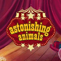 Astonishing Animals in morepartyoriginals