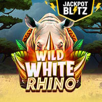 Wild White Rhino in Best Of The Rest