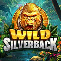 Wild Silverback in Morenewgames