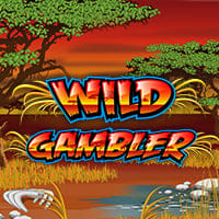 Wild Gambler in party_vegas_retro