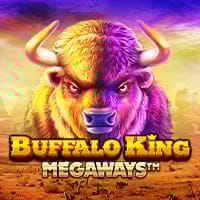 Buffalo King Megaways in tinybutempty