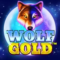 Wolf Gold in tinybutempty