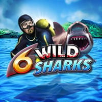 6 Wild Sharks in Most Popular