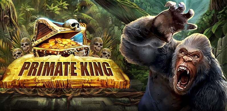 Primate King in Jackpotguaranteed