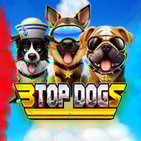 3 Top Dogs in tinybutempty