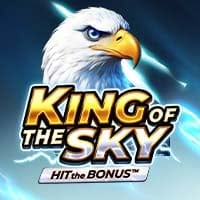 King of the Sky: Hit the Bonus in hiddengems